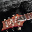 PRS 513 25th Anniversary
