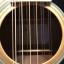 Guitarra Acústica Eko Ranger 12St