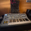 MOOG MOTHER 32