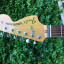 Fender Stratocaster Classic Series 70 - Natural