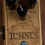 WAMPLER TUMNUS