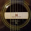 Fender newporter