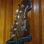 Fender newporter
