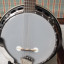 Recording King Madison RK-G25 banjo de 6 cuerdas