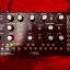 Moog Mother 32