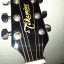 Guitarra electroacústica Takamine EG541SSC