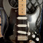 REBAJADA Fender Stratocaster David Gilmour style
