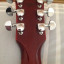 Gibson Les Paul standard double cut edicion límited 2007