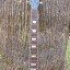 Gibson SG standard 2011