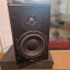 Dynaudio BM6 + Neva Audio Reflexion Arts Studio Series