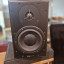 Dynaudio BM6 + Neva Audio Reflexion Arts Studio Series