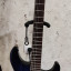 Guitarra RGX820Z