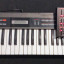 Roland Alpha Juno 1 + DT 300