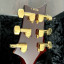 PRS Custom 24 Artist Package