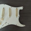 GOLPEADOR Stratocaster Completo