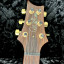 PRS Custom 24 Artist Package