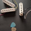 pastillas fender stratocaster