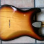 Fender Stratocaster 1981 Hardtail fresno + puente schaller