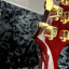 PRS Custom 24 Artist Package