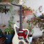 Fender Jaguar – Olympic White de 1964!