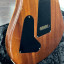 PRS Custom 24 Artist Package