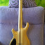 Mayones Regius 7 Gothic-T barítona