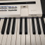 Piano Teclado Sintetizador Casio Privia Px5s