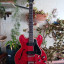 GIBSON ES-330 TDC CHERRY de 1961!