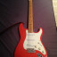 Fender Stratocaster Hank Marvin Signature (Crafted in Japan)