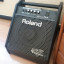 Amplificador/Monitor Roland PM-10