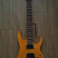 Ibanez RG 320 FM naranja