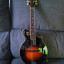 The Loar LM-600