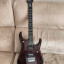 Ernie Ball Music Man JP12 BFR John Petruccci