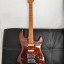 Godin Session T-Pro Ltd Kanyon Burst Mn