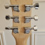 Danelectro Mod 6