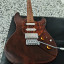 Godin Session T-Pro Ltd Kanyon Burst Mn