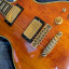 Ibanez PF400.(Cambio por SG)