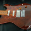Godin Session T-Pro Ltd Kanyon Burst Mn