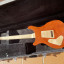Mora Guitars - Double Cut Custom 24 (PRS Style Wood Library)