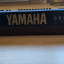 Yamaha SK20