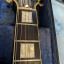 Ibanez PF400.(Cambio por SG)