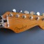 Fender Stratocaster Richie Sambora MIM