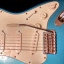 Fender Stratocaster Blue MIM UPGRADE