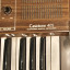 Teclado Casio Casiotone 405