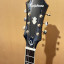 Guitarra epiphone Riviera p93 WR edición limitada