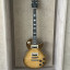 Epiphone les Paul standard Mejorada