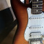 Fender Standard Stratocaster Plus Top (Mex)