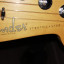 Fender Stratocaster Custom USA + Estuche