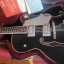 GRETSCH  6136 SLBP Brian Setzer BLACK PHOENIX Rebaja express