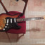 fender stratocaster srv